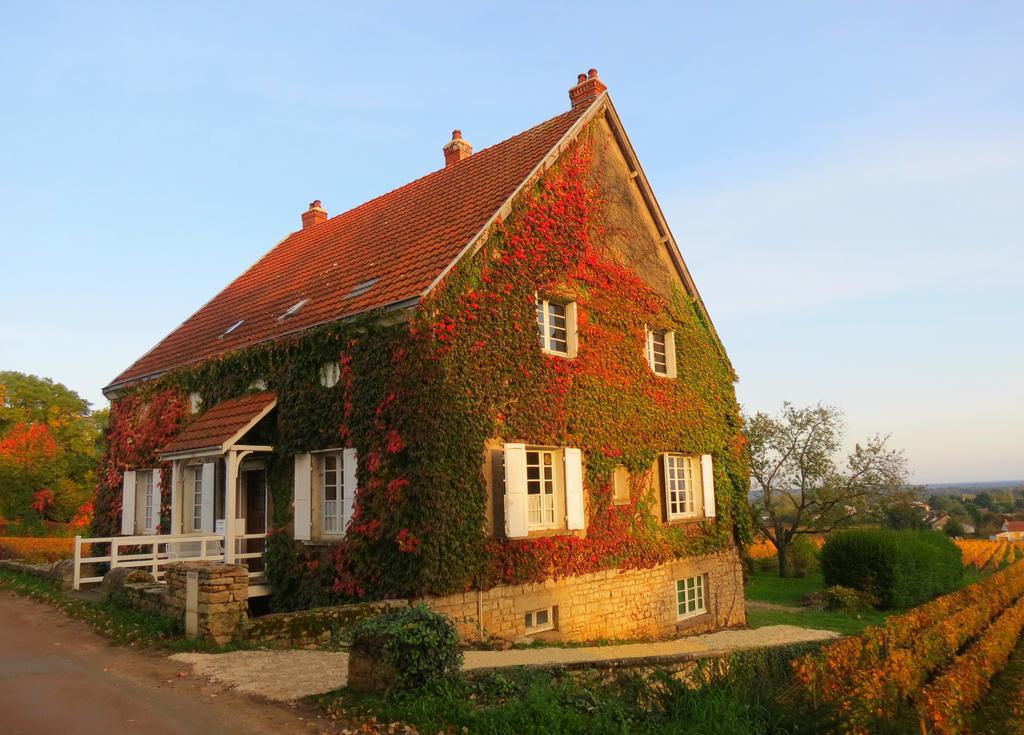 La Passerelle des Corton B&B Aloxe-Corton Esterno foto