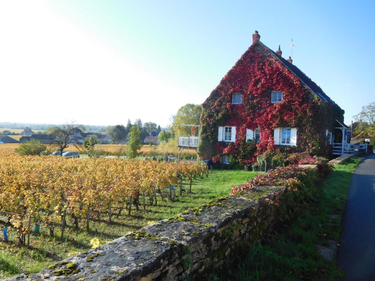 La Passerelle des Corton B&B Aloxe-Corton Esterno foto