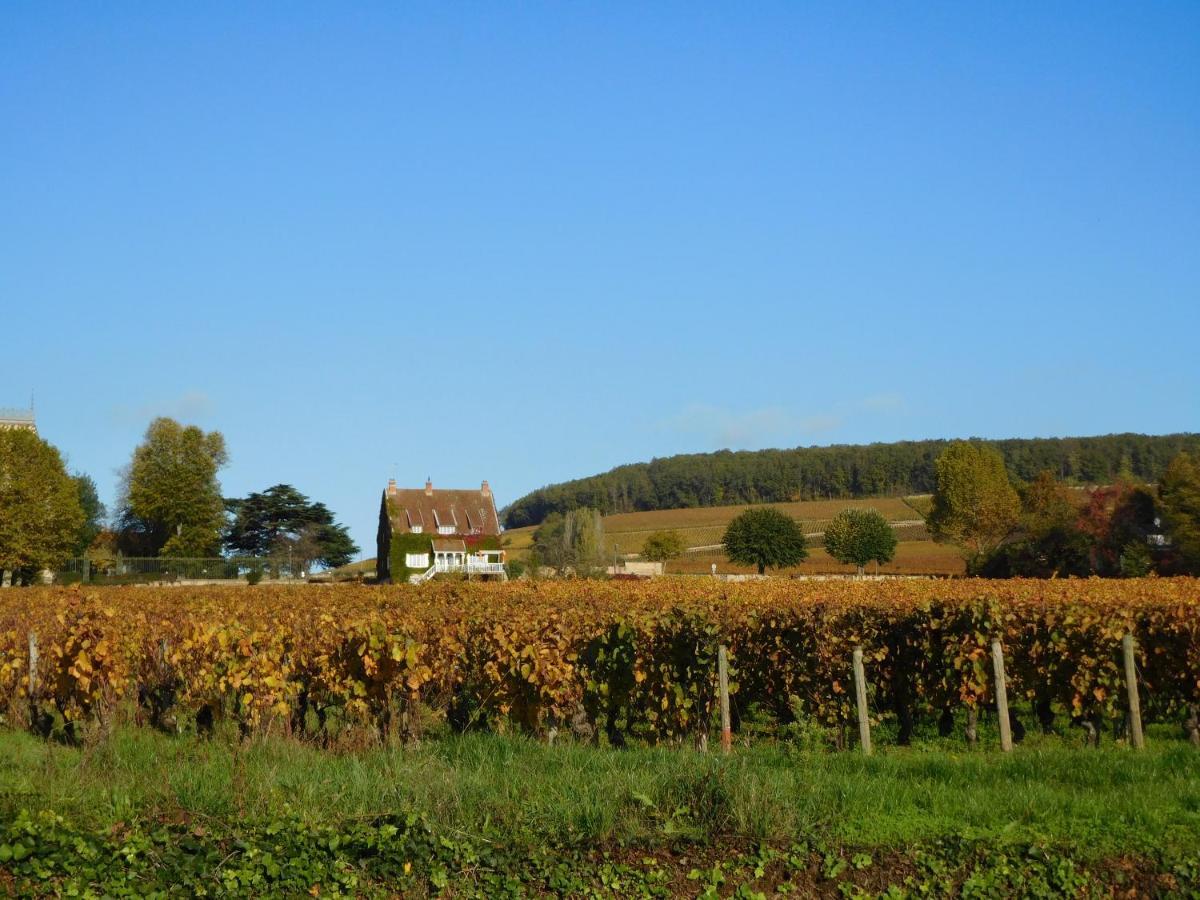La Passerelle des Corton B&B Aloxe-Corton Esterno foto